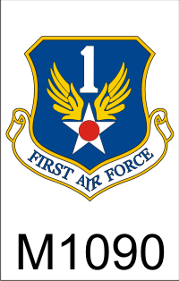 1st_air_force_dui.png (44343 bytes)