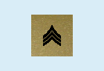 RANK PATCH METALLIC.png (8697 bytes)