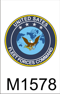 fleet_forces_command_emblem_dui.png (48115 bytes)